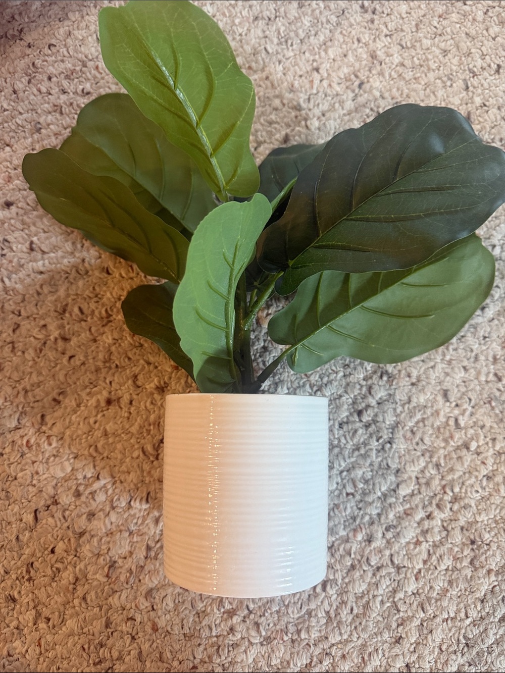 Unknown Brand White Ceramic Planter with Green Foliage